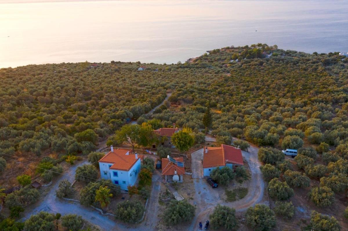 Four Independence Houses By The Sea Glifa  Exterior photo